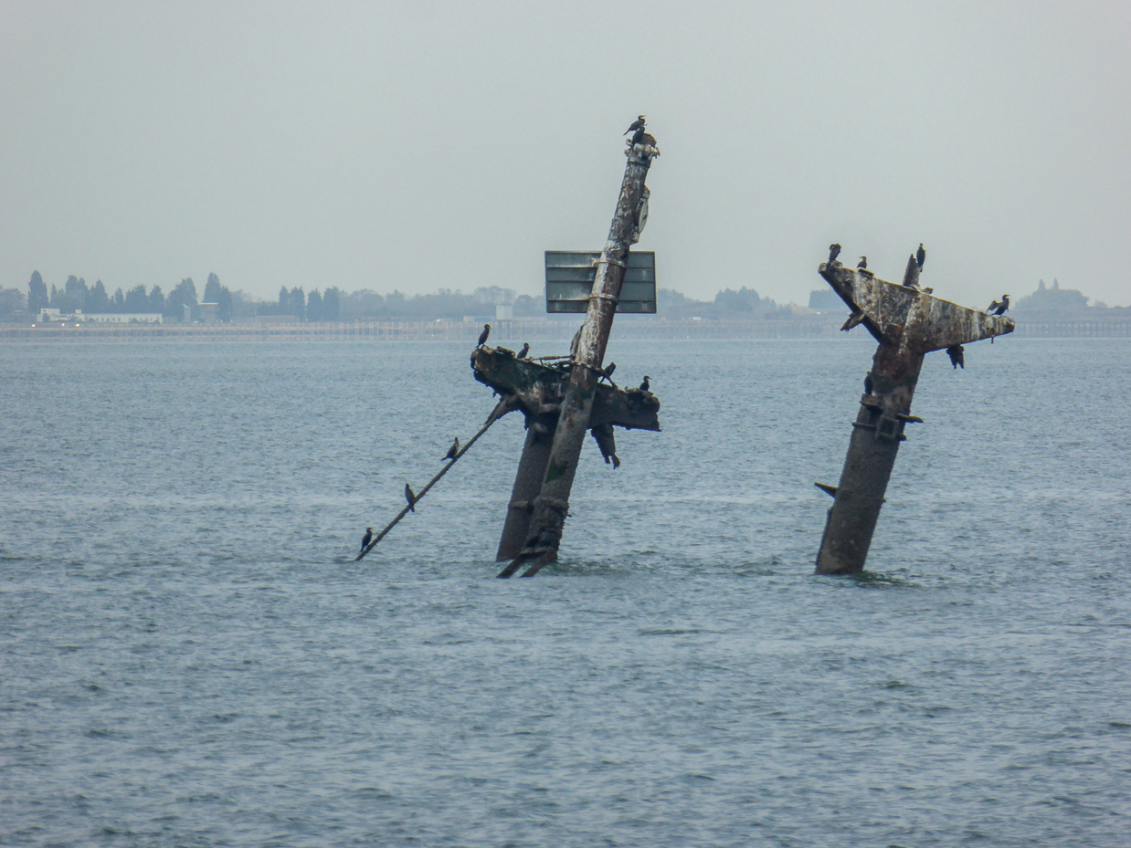 By Wreck of the SS Richard Montgomery, off Sheerness by Christine Matthews