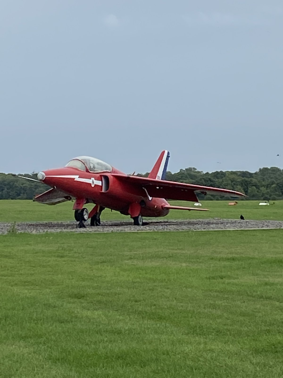 Red Folland Gnat in Red Arrows colours on the grass