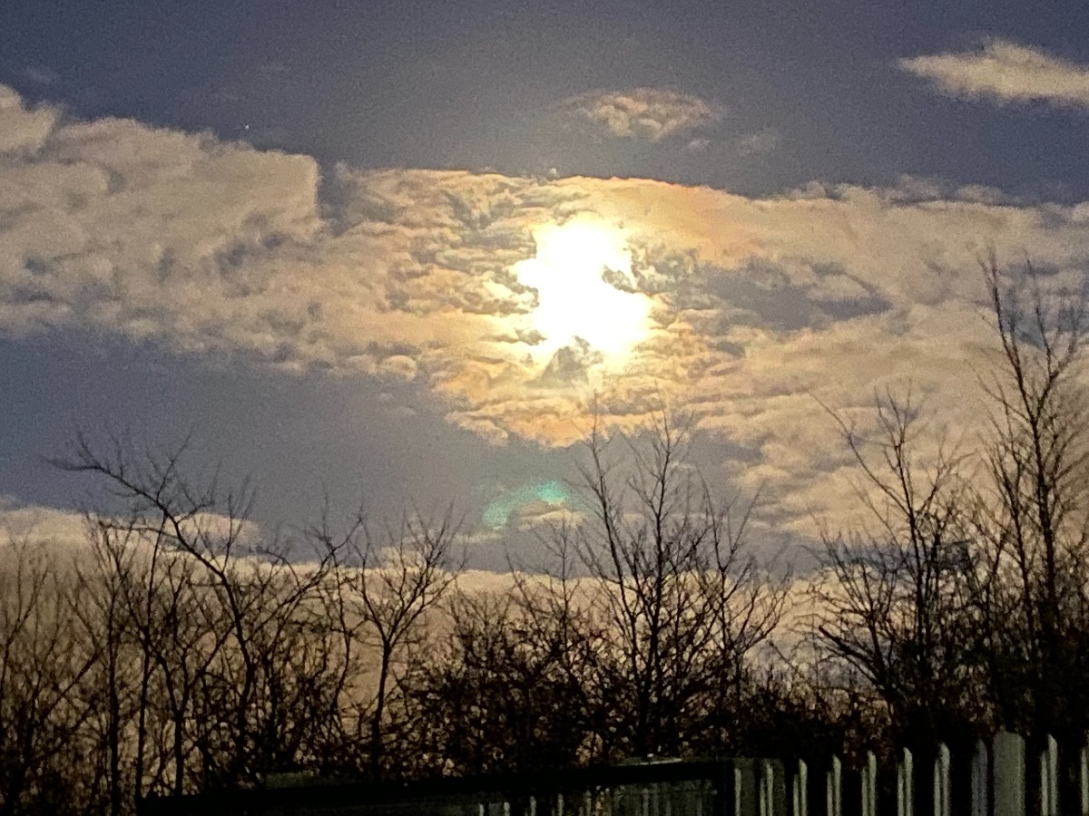 Elstree skyline
